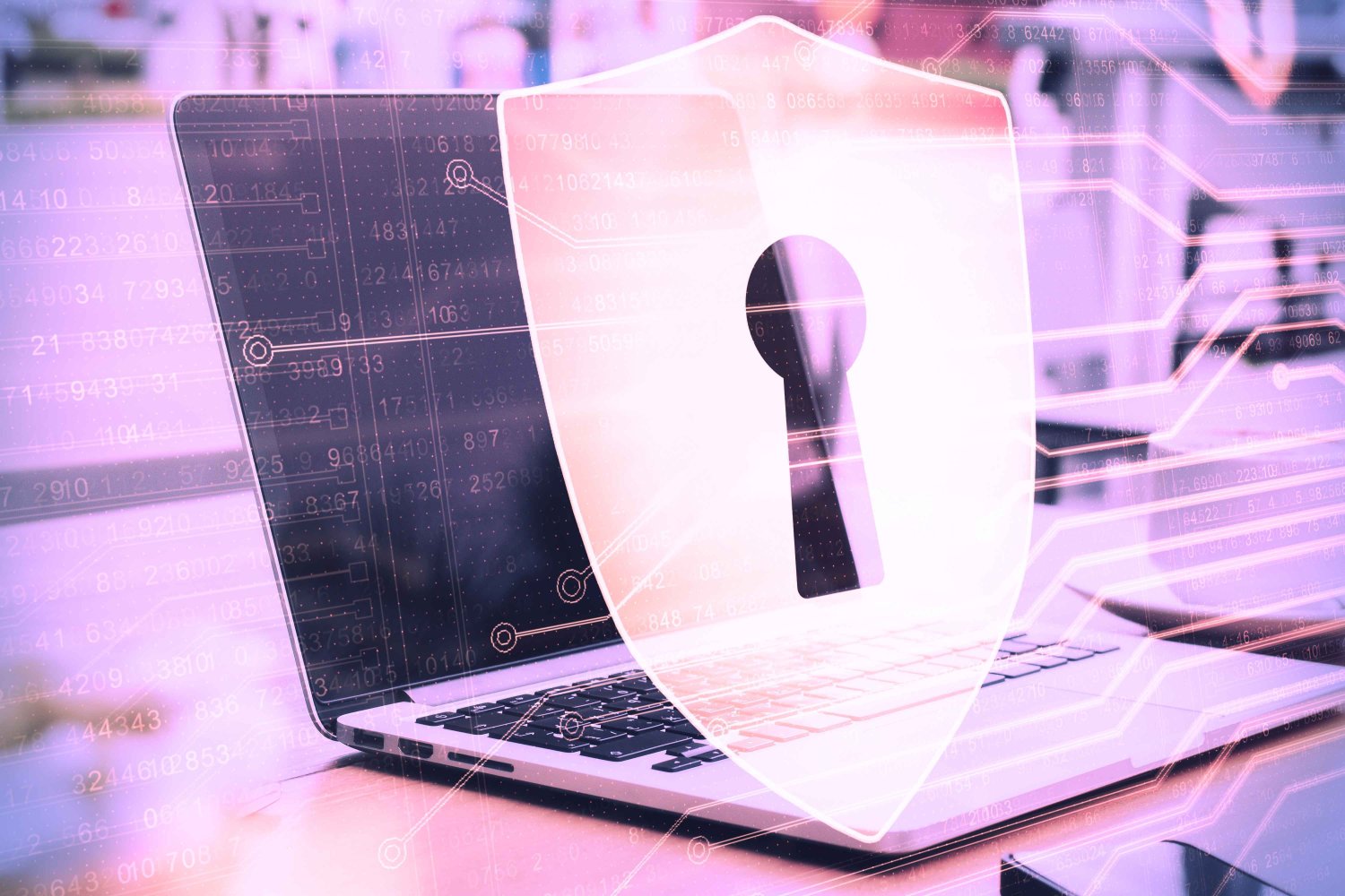SSL Certificates